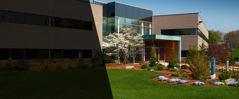 Chula Vista Landscapers