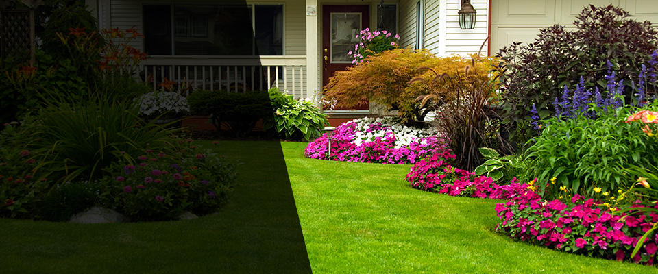 Chula Vista Landscapers