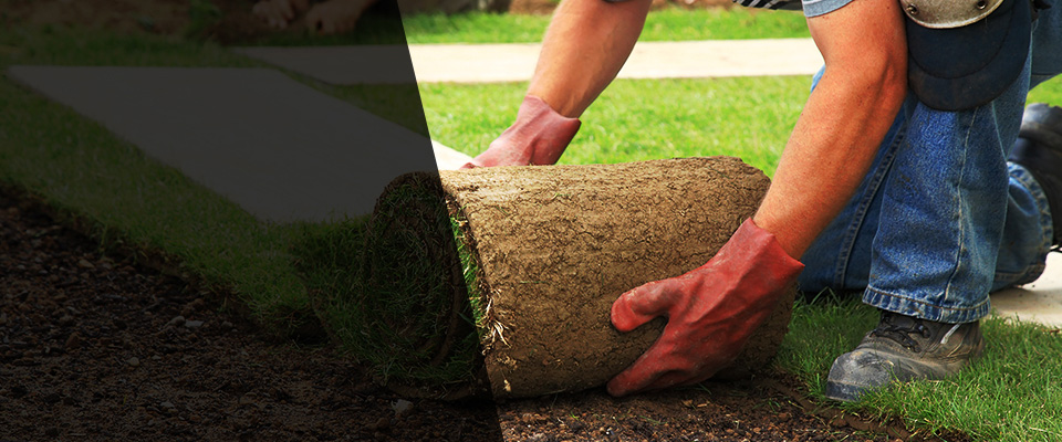 Chula Vista Landscapers